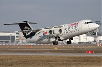 Miguel Alia - Noisy Spotters. Click to see full size photo