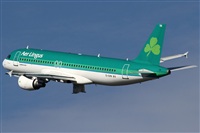 Rubn Gil - Noisy Spotters. Click to see full size photo