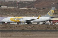 ©Alfonso Solís - Asociación Canary Islands Spotting. Click to see full size photo ©Alfonso Solís - Asociación Canary Islands Spotting. Click to see full size photo
