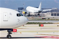 Miguel Alia - Noisy Spotters. Click to see full size photo