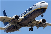 Miguel Alia - Noisy Spotters. Click to see full size photo