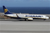 ©Alfonso Solís - Asociación Canary Islands Spotting. Click to see full size photo ©Alfonso Solís - Asociación Canary Islands Spotting. Click to see full size photo