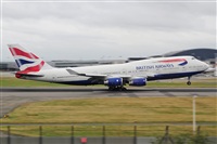 Miguel A. gueda Rguez.  (CANARY ISLANDS SPOTTING). Click to see full size photo