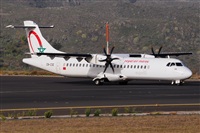 Miguel A. gueda Rguez.  (CANARY ISLANDS SPOTTING). Click to see full size photo