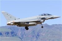 Paco Muoz Arencibia - Gran Canaria Spotters. Click to see full size photo
