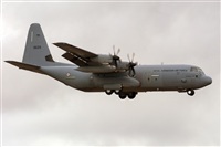 ©Adolfo Bento - Gran Canaria Spotters. Click to see full size photo ©Adolfo Bento - Gran Canaria Spotters. Click to see full size photo