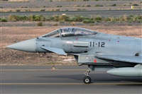 Adolfo Bento - Gran Canaria Spotters. Click to see full size photo