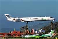 Alejandro Bethencourt (Canary Islands Spotting). Click to see full size photo