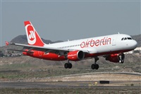 ©Alfonso Solís - Asociación Canary Islands Spotting. Click to see full size photo ©Alfonso Solís - Asociación Canary Islands Spotting. Click to see full size photo