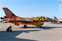 Miguel Martin Cordeiro - Iberian Spotters. Click to see full size photo