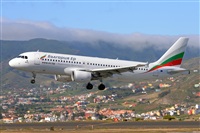 Miguel A. gueda Rguez.  (CANARY ISLANDS SPOTTING). Haz click para ampliar