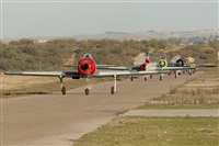 EC-ISM. Click to see full size photo