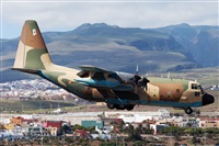 Florencio Martn Melin - Lanzarote Spotters. Click to see full size photo