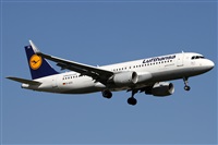 Alfonso Sols - Asociacin Canary Islands Spotting. Click to see full size photo