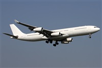 Alfonso Sols - Asociacin Canary Islands Spotting. Click to see full size photo