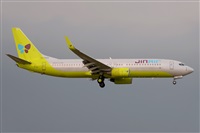 Miguel A. gueda Rguez.  (CANARY ISLANDS SPOTTING). Click to see full size photo