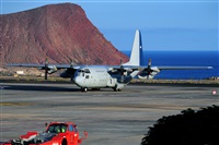 Miguel A. gueda Rguez.  (CANARY ISLANDS SPOTTING). Haz click para ampliar