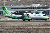 ©Alfonso Solís - Asociación Canary Islands Spotting. Click to see full size photo ©Alfonso Solís - Asociación Canary Islands Spotting. Click to see full size photo