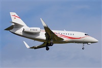 Miguel A. gueda Rguez.  (CANARY ISLANDS SPOTTING). Click to see full size photo