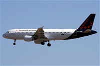 Alfonso Sols - Asociacin Canary Islands Spotting. Click to see full size photo