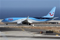 Alfonso Sols - Asociacin Canary Islands Spotting. Haz click para ampliar