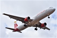 ©J. Victor Vega-Gran Canaria Spotters. Click to see full size photo ©J. Victor Vega-Gran Canaria Spotters. Click to see full size photo