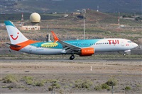 Miguel A. gueda Rguez.  (CANARY ISLANDS SPOTTING). Click to see full size photo