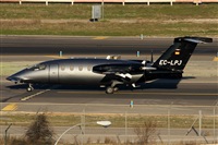 ©Alfonso Solís - Asociación Canary Islands Spotting. Click to see full size photo ©Alfonso Solís - Asociación Canary Islands Spotting. Click to see full size photo