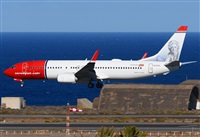 ©Alejandro H.L - Gran Canaria Spotters. Click to see full size photo ©Alejandro H.L - Gran Canaria Spotters. Click to see full size photo