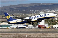 Alfonso Sols - Asociacin Canary Islands Spotting. Click to see full size photo