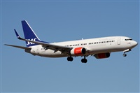 Alfonso Sols - Asociacin Canary Islands Spotting. Click to see full size photo
