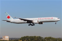 Miguel A. gueda Rguez.  (CANARY ISLANDS SPOTTING). Click to see full size photo