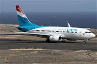 ©Alfonso Solís - Asociación Canary Islands Spotting. Click to see full size photo ©Alfonso Solís - Asociación Canary Islands Spotting. Click to see full size photo