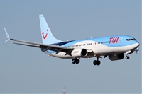 ©Alfonso Solís - Asociación Canary Islands Spotting. Click to see full size photo ©Alfonso Solís - Asociación Canary Islands Spotting. Click to see full size photo
