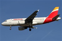 ©Alfonso Solís - Asociación Canary Islands Spotting. Click to see full size photo ©Alfonso Solís - Asociación Canary Islands Spotting. Click to see full size photo