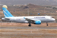 Miguel A. gueda Rguez.  (CANARY ISLANDS SPOTTING). Click to see full size photo