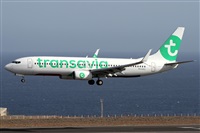 Alfonso Sols - Asociacin Canary Islands Spotting. Haz click para ampliar