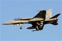 Alfonso Sols - Asociacin Canary Islands Spotting. Haz click para ampliar