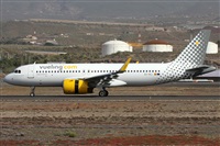 ©Alfonso Solís - Asociación Canary Islands Spotting. Click to see full size photo ©Alfonso Solís - Asociación Canary Islands Spotting. Click to see full size photo