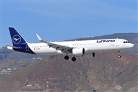 Miguel A. gueda Rguez.  (CANARY ISLANDS SPOTTING). Click to see full size photo