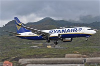 Miguel A. gueda Rguez.  (CANARY ISLANDS SPOTTING). Haz click para ampliar