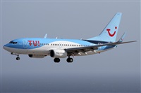 ©Alfonso Solís - Asociación Canary Islands Spotting. Click to see full size photo ©Alfonso Solís - Asociación Canary Islands Spotting. Click to see full size photo