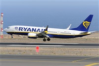 Miguel A. gueda Rguez.  (CANARY ISLANDS SPOTTING). Click to see full size photo