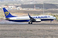 Miguel A. gueda Rguez.  (CANARY ISLANDS SPOTTING). Click to see full size photo