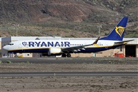 Alfonso Sols - Asociacin Canary Islands Spotting. Haz click para ampliar