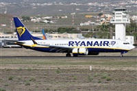 Alfonso Sols - Asociacin Canary Islands Spotting. Click to see full size photo
