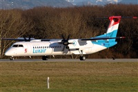 La Roche Spotters. Click to see full size photo