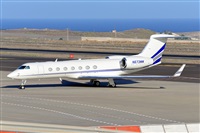 Miguel A. gueda Rguez.  (CANARY ISLANDS SPOTTING). Click to see full size photo