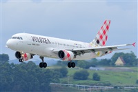 Miguel A. gueda Rguez.  (CANARY ISLANDS SPOTTING). Click to see full size photo