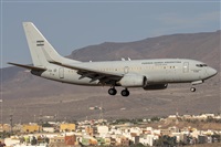 ©Adolfo Bento - Gran Canaria Spotters. Click to see full size photo ©Adolfo Bento - Gran Canaria Spotters. Click to see full size photo